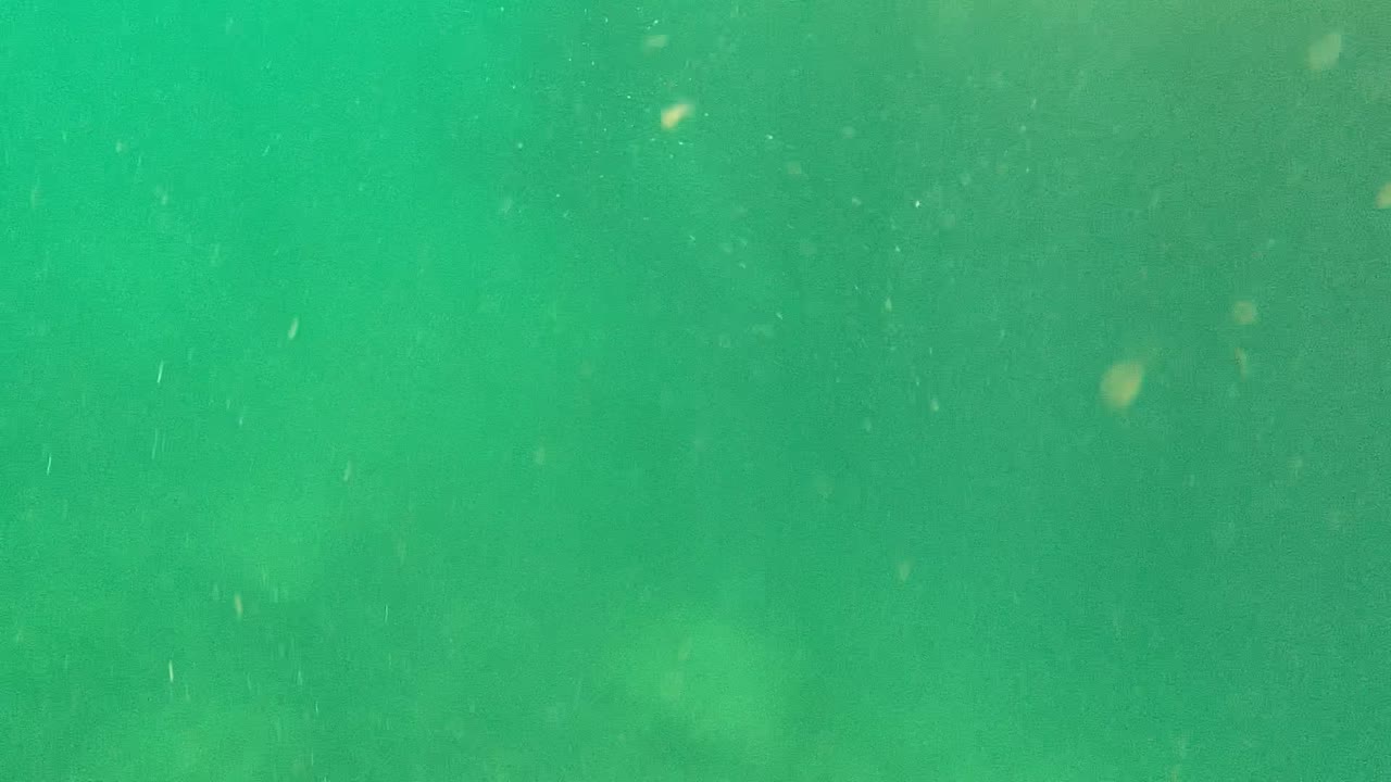 Green underwater haze with floating particles and a faint fish form deeper in frame.