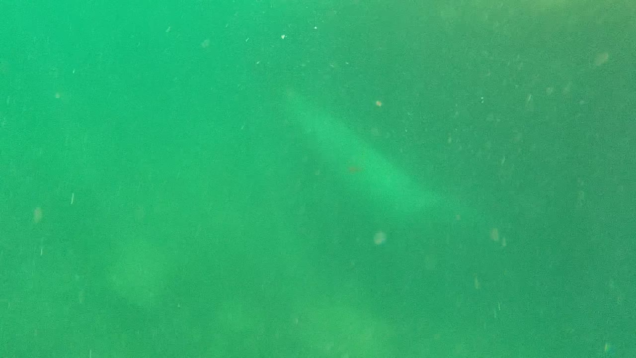 Green Cabo Pulmo underwater water fills the frame with scattered particles, a cloudy pale patch in the midground, and no visible people.