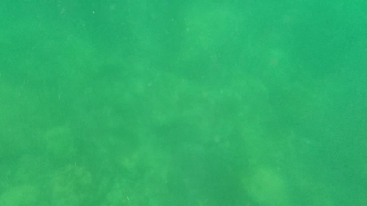 Green underwater view in Cabo Pulmo, Baja California Sur, Mexico, with suspended particles, faint rocky or coral bottom texture, and no visible people.