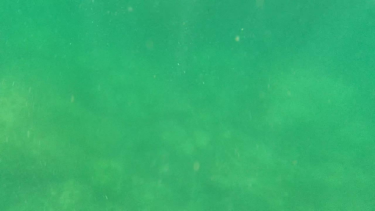 Clear green water with soft bottom shapes and drifting particles