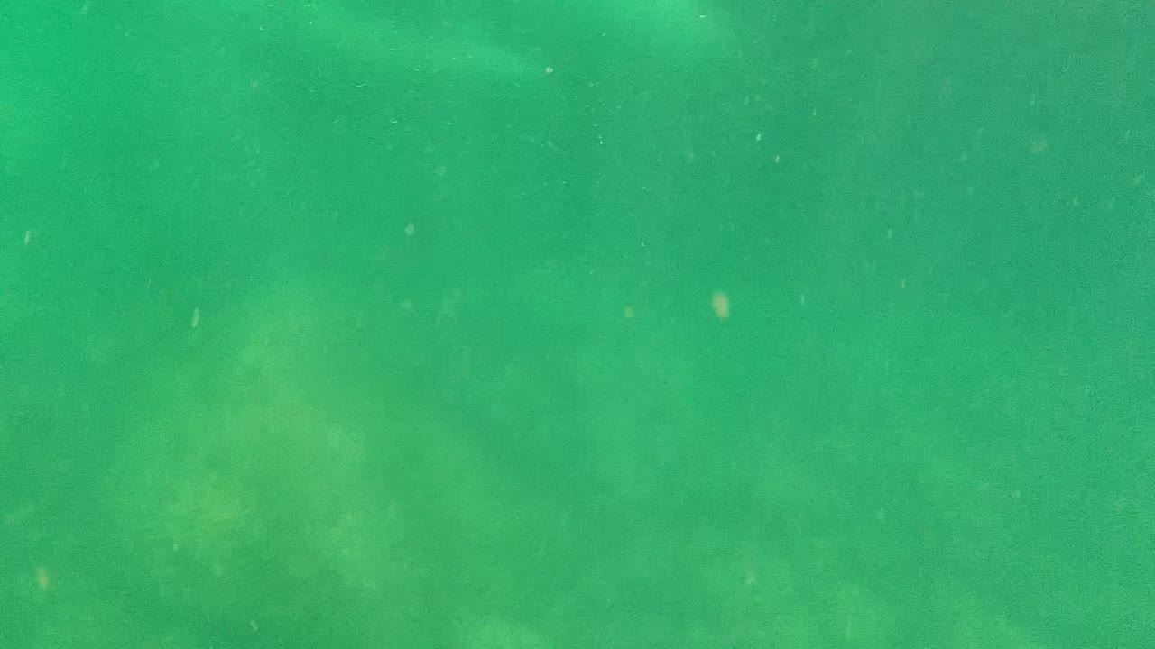 Underwater Cabo Pulmo frame with green water, a faint fish-like shape in the midwater, soft seabed patches, and no visible people.