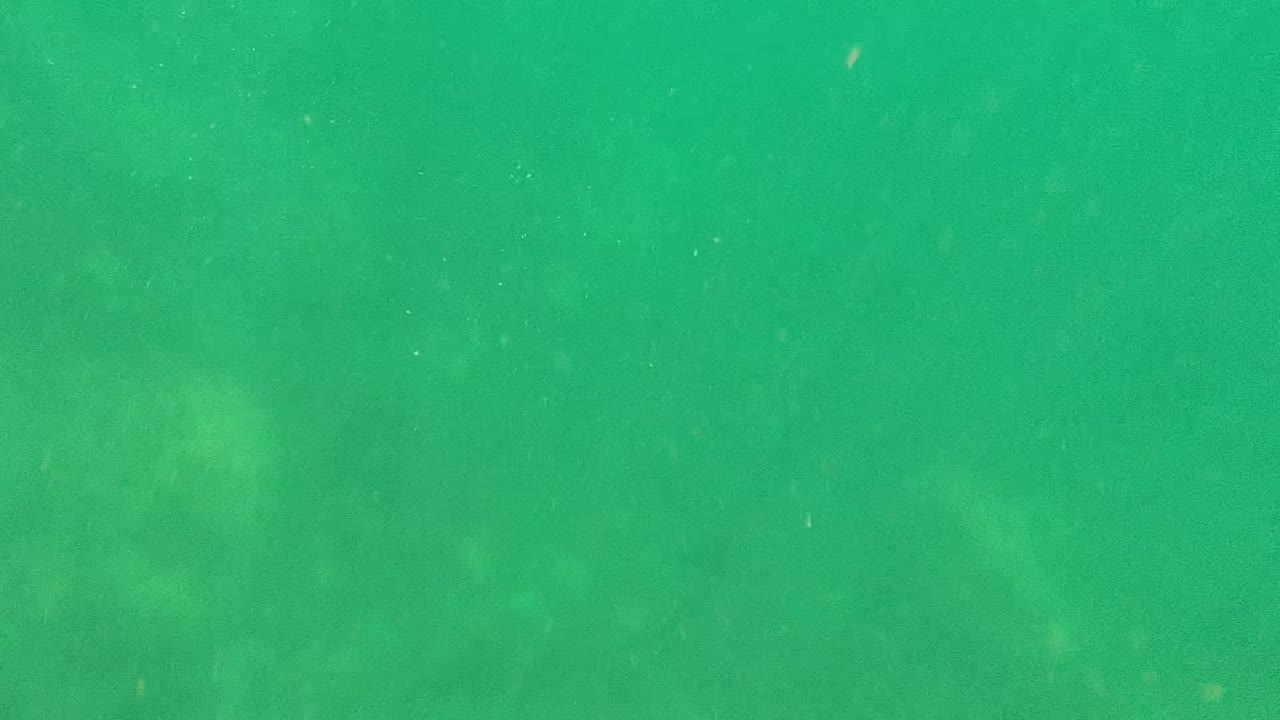 Murky green water with faint seabed texture
