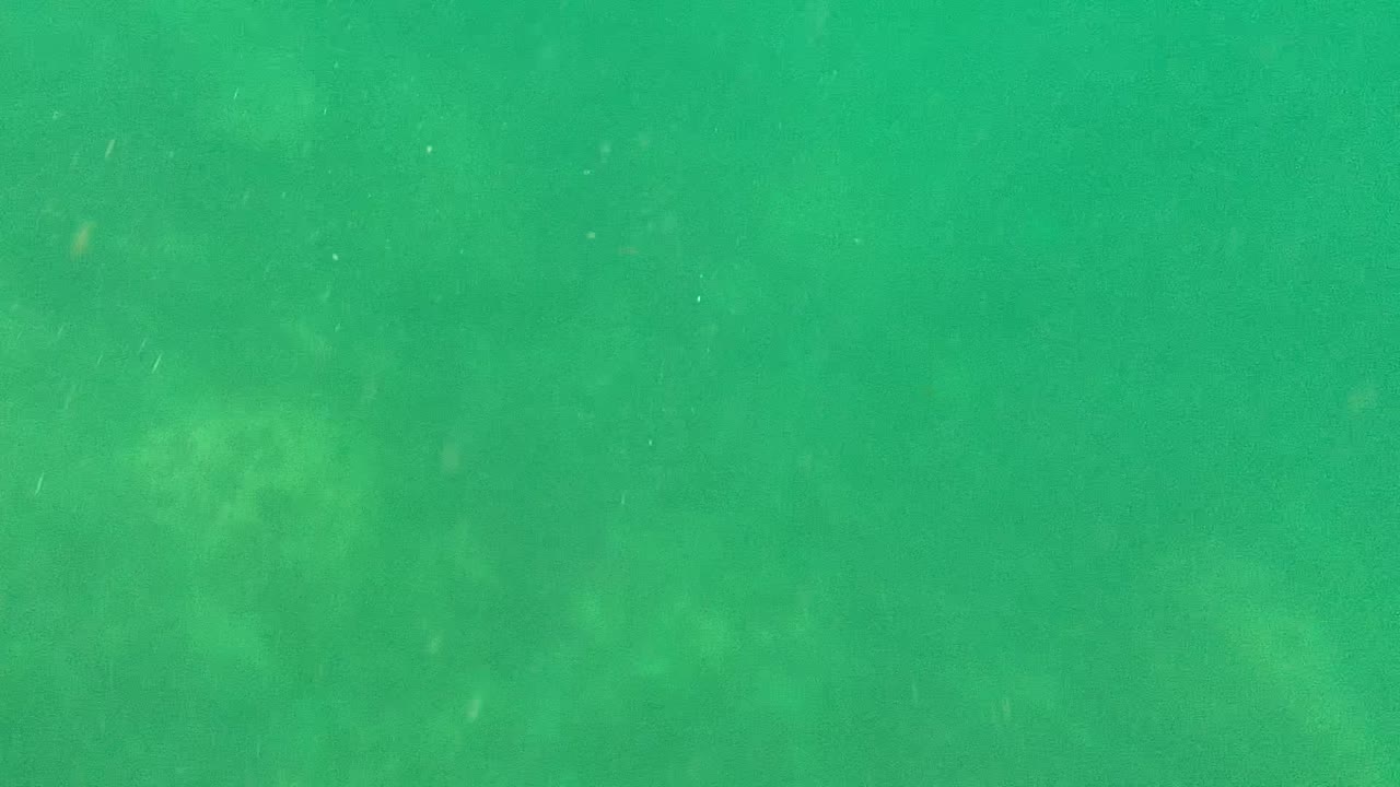 Green underwater view in Cabo Pulmo with small drifting specks across the frame and no visible people.