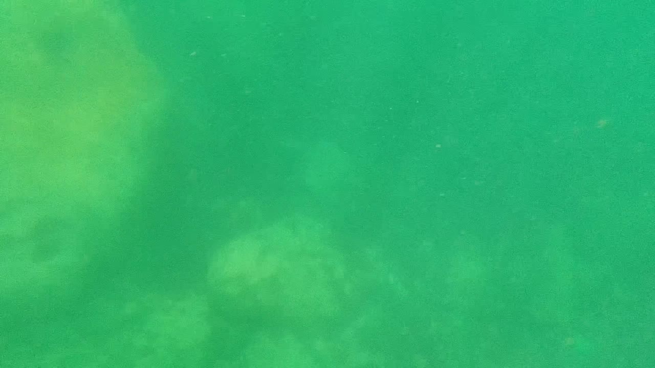 Opening frame from Cabo Pulmo, Baja California Sur, Mexico, showing green underwater haze, faint rocky seabed shapes, and scattered bubbles near the top with no visible people.