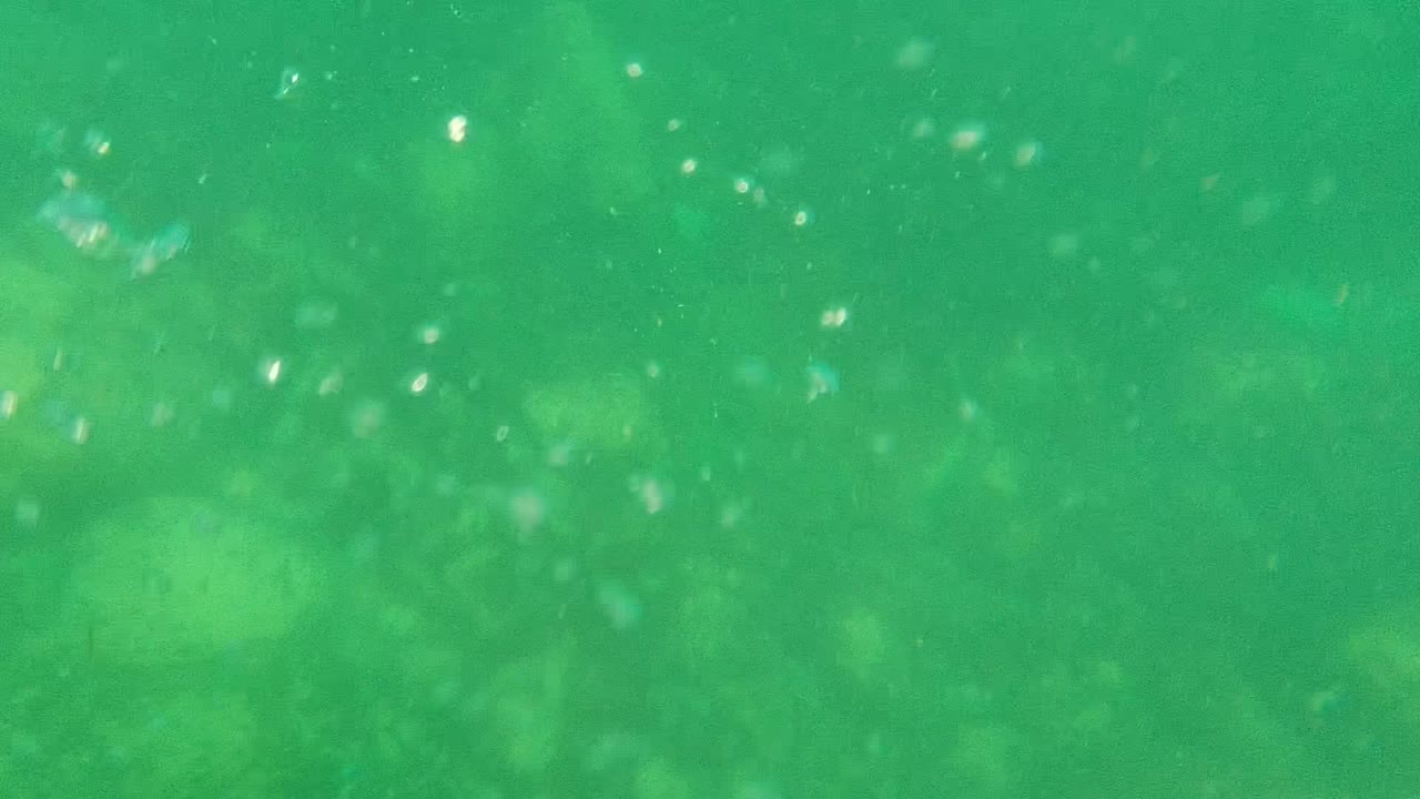 Underwater view in Cabo Pulmo where fine bubbles and suspended particles pass through green water above a faint rocky bottom, with no visible people.