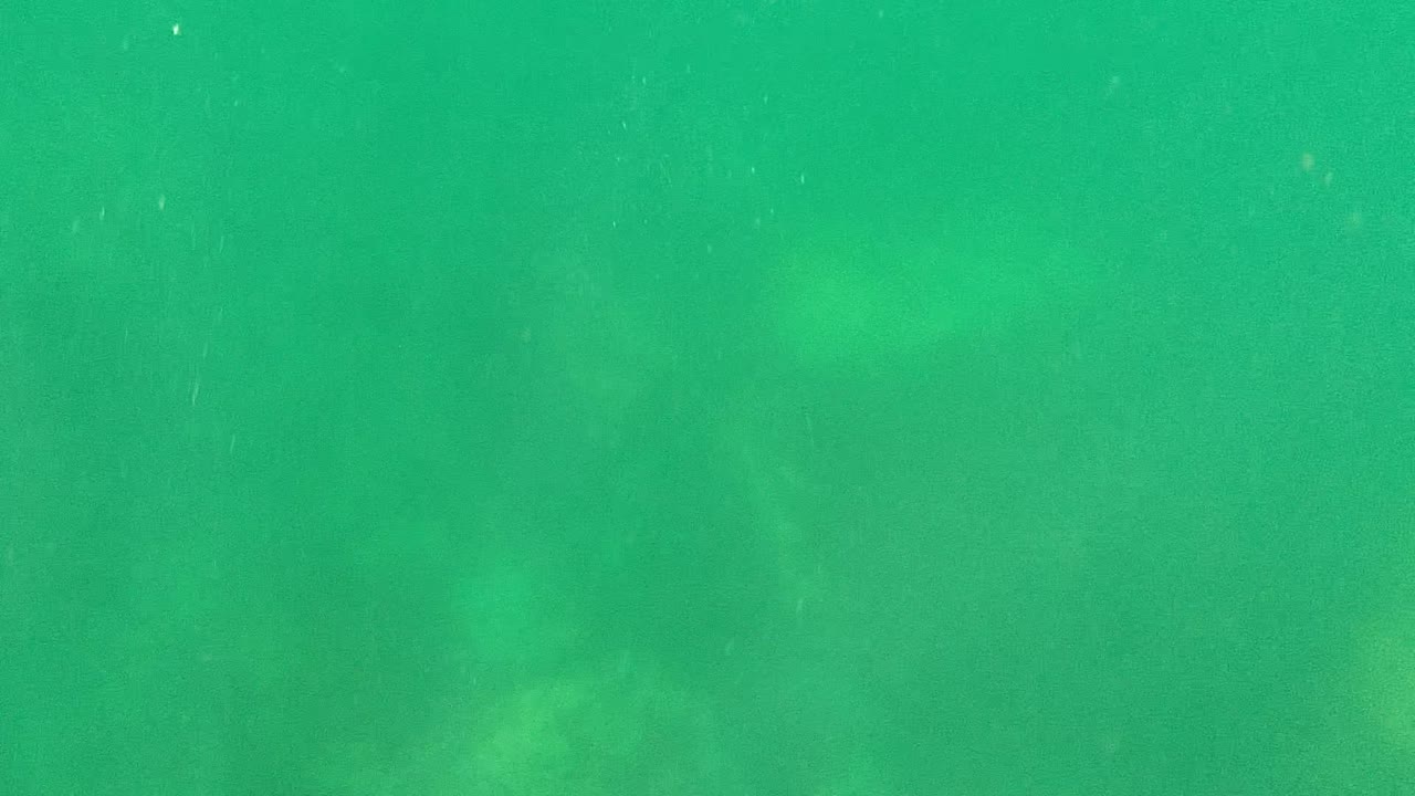 Murky green underwater frame in Cabo Pulmo with small suspended particles, pale cloudy areas, faint marine silhouettes, and no visible people.