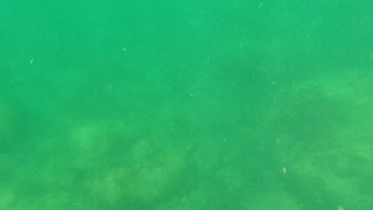 Opening underwater frame in Cabo Pulmo shows green water over a soft rocky bed with fine floating particles and no visible people.