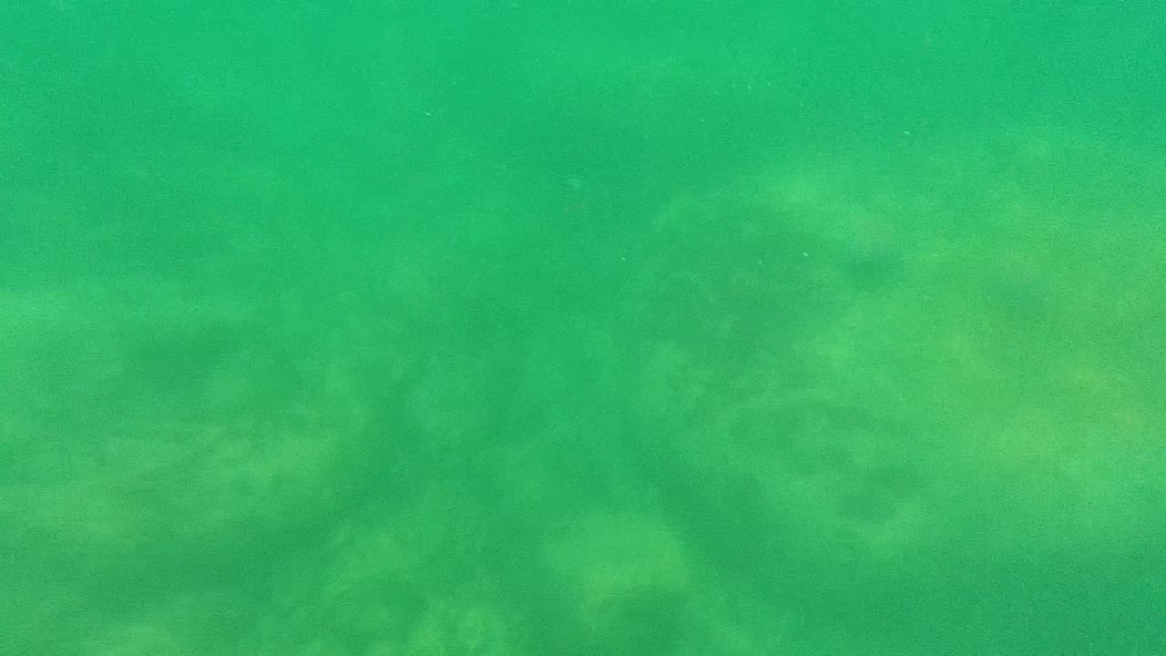 Murky green water over pale underwater rocks and drifting particles.