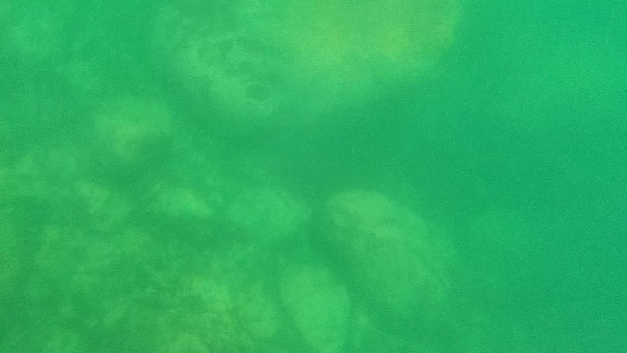 At two seconds, the frame holds on a green underwater rocky bed in Cabo Pulmo, with faint stone contours and no visible people.