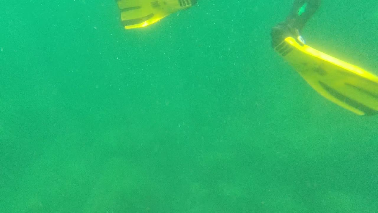 At 0:00 in Cabo Pulmo, yellow dive fins appear cropped along the upper edge above green water and a faint sandy seabed, with no visible people.