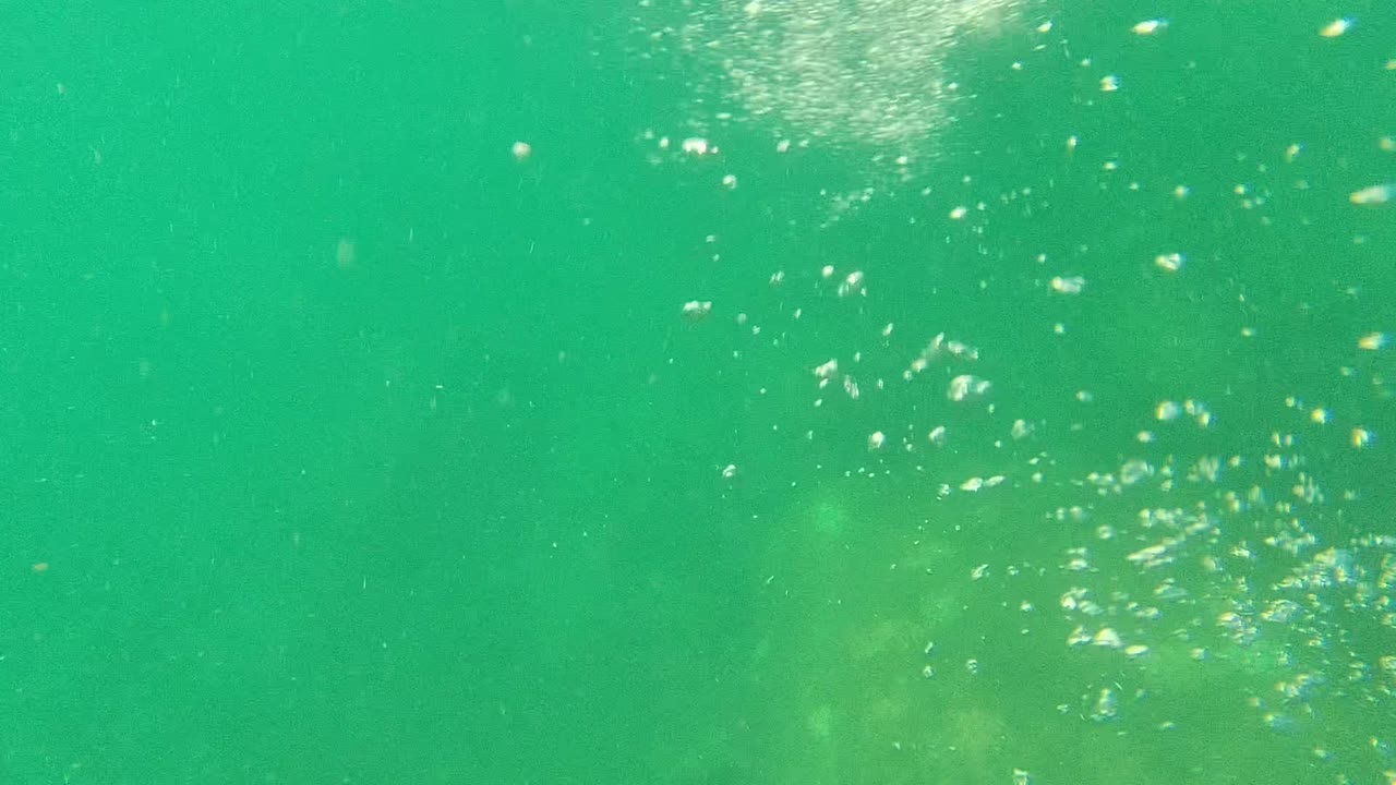 Green underwater view in Cabo Pulmo with small bubbles and suspended particles drifting through the frame, no visible people.