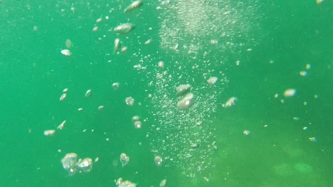 Clustered bubbles rising through green water.