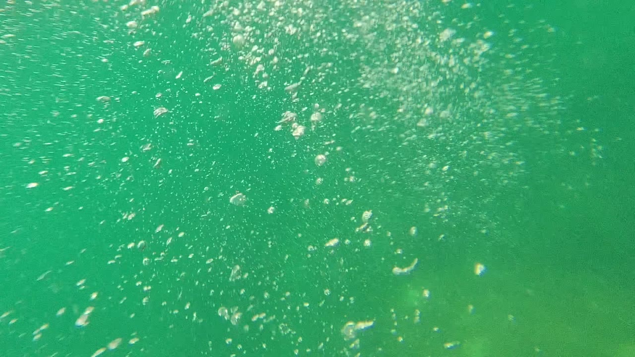 Fine bubbles and small bright particles are spread across clear green water in Cabo Pulmo, with no visible people.