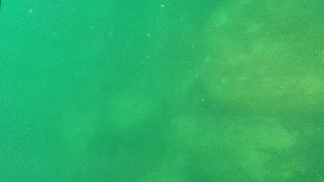 Green Cabo Pulmo underwater frame with hazy rock forms in the background, small floating particles, and no visible people in this moment.