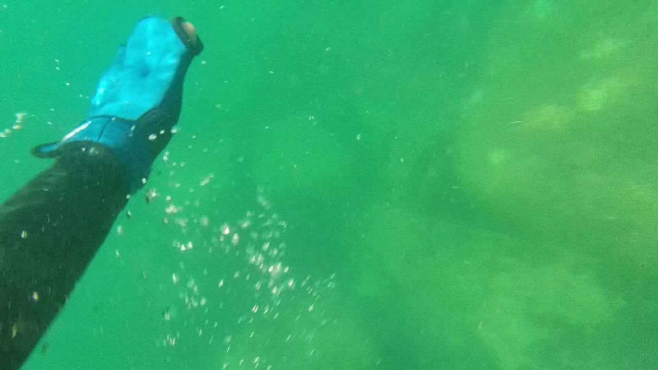 At 0:00 in Cabo Pulmo, a blue fin-like glove or limb edge enters from the upper left above green water and a pale rocky seabed, with no visible people.