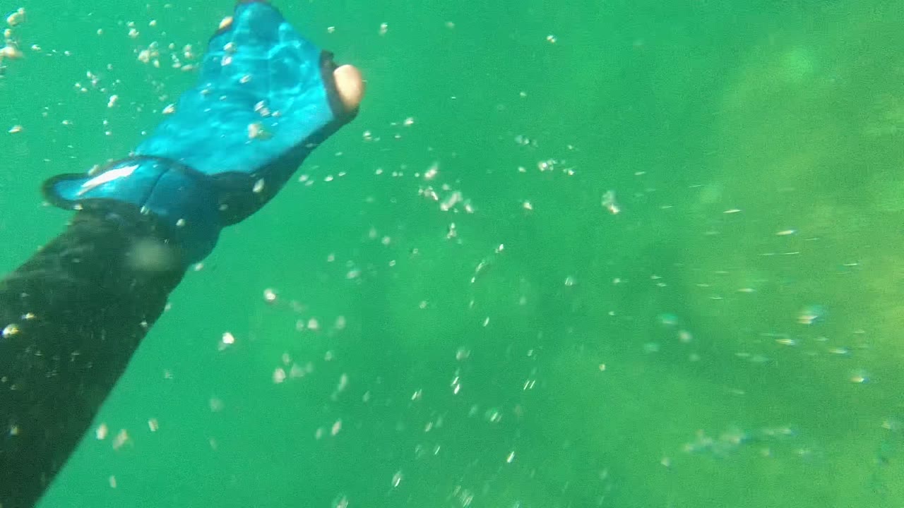 Blue and black gloved hand moving through green water with bubbles