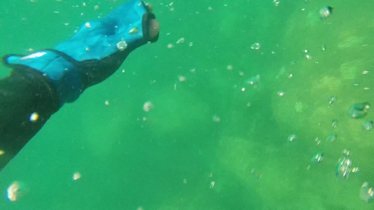 At 0:02 in Cabo Pulmo, the blue glove shifts toward the upper right as bubbles trail behind it in green water over a muted rocky seabed, with no visible people.