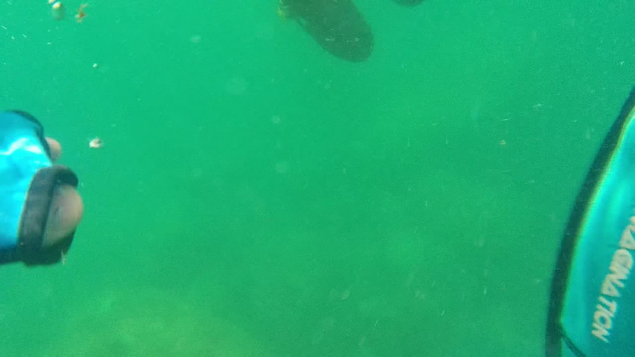 Green underwater view in Cabo Pulmo with a cropped snorkel mask or fin at the left edge, hazy rocks below, suspended particles, and no visible people or faces.