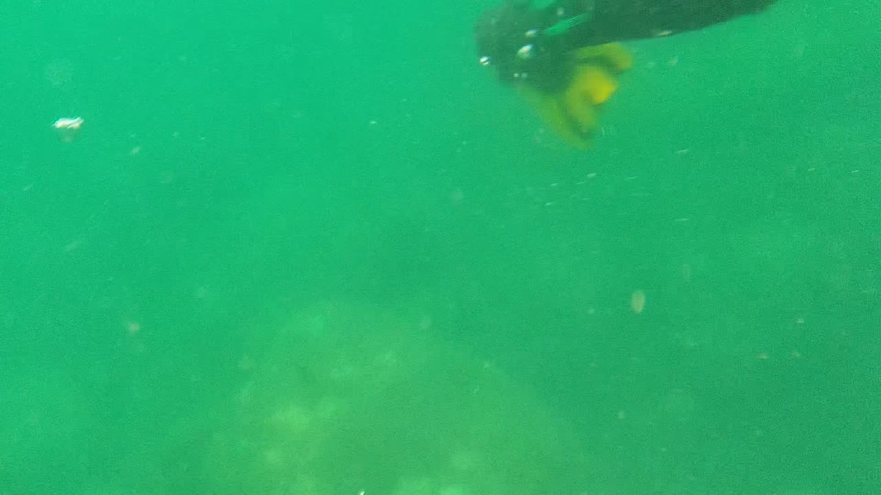Snorkel fin suspended in green water above a faint seabed.