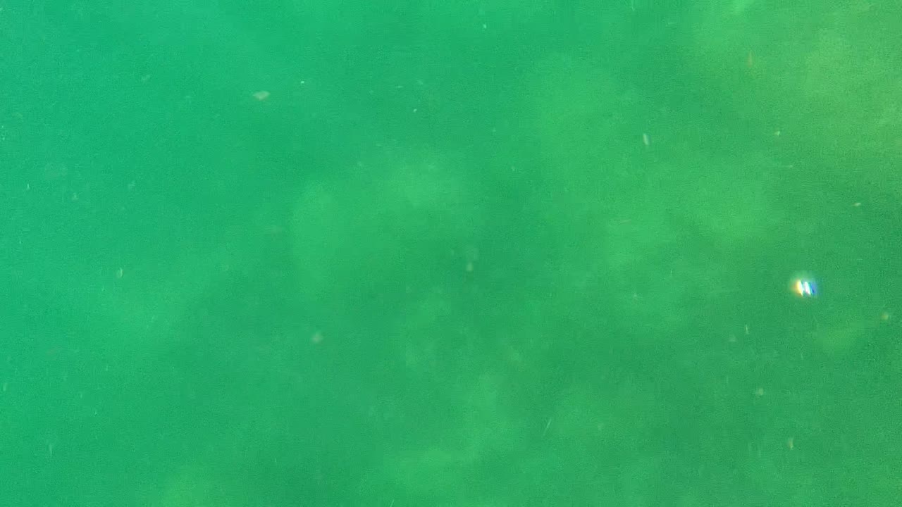 Cropped snorkel gear crosses the top of the Cabo Pulmo underwater frame, with green water, faint bubbles, and a rocky seabed visible below, with no recognizable people or faces.