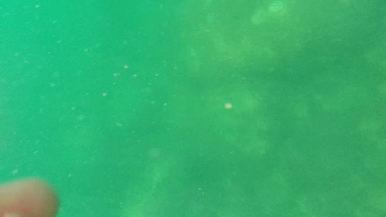 At 0:00 in Cabo Pulmo, green underwater water fills the frame while bubbles drift around the cropped upper body of a wetsuit diver at the right edge.