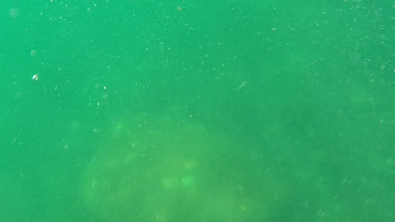 Close underwater crop of a diver's wetsuit torso and arm in green water.