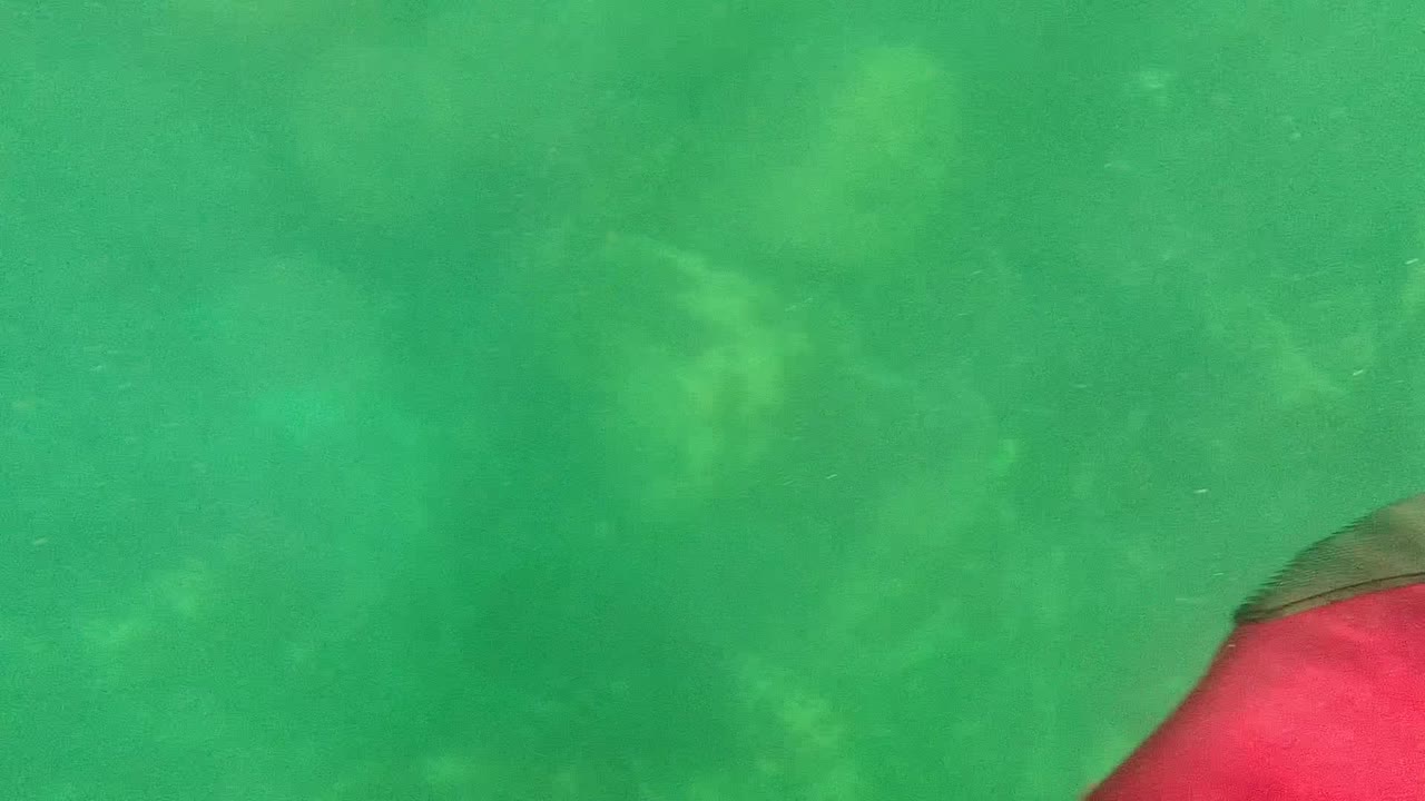 Underwater view in Cabo Pulmo, Baja California Sur, with green water, faint rocks or coral below, suspended particles, and a red bodyboard edge entering at the lower right.