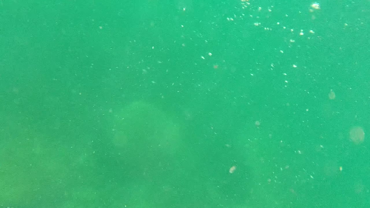 Green underwater frame with floating particles and faint seafloor texture.