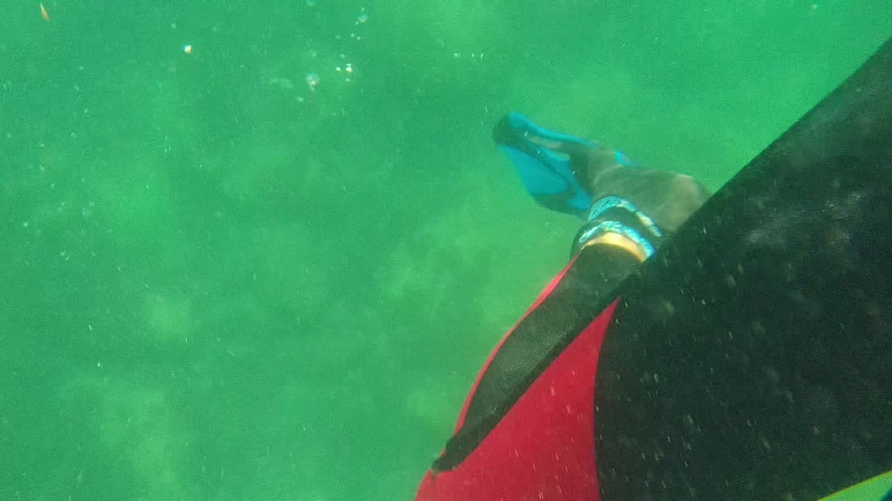 A partial underwater view of the bodyboarder in Cabo Pulmo, Baja California Sur, with a blue swim fin, dark wetsuit, and red bodyboard visible along the right edge.
