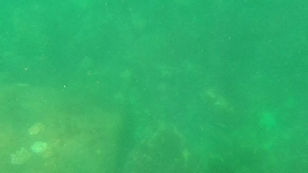 Green underwater water with pale seabed shapes beneath.