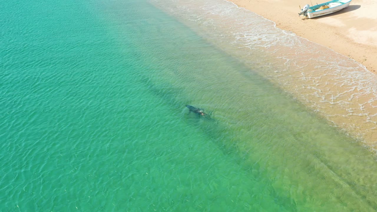 Clear shallow sea beside sand with a small boat on the beach.