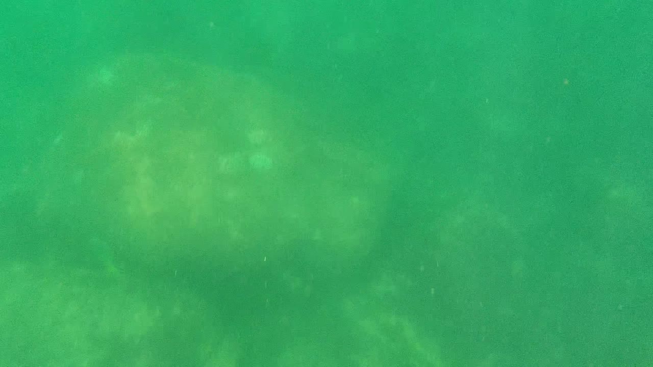 Green underwater view in Cabo Pulmo, Baja California Sur, with diffuse light over a hazy rocky seabed and no visible people.