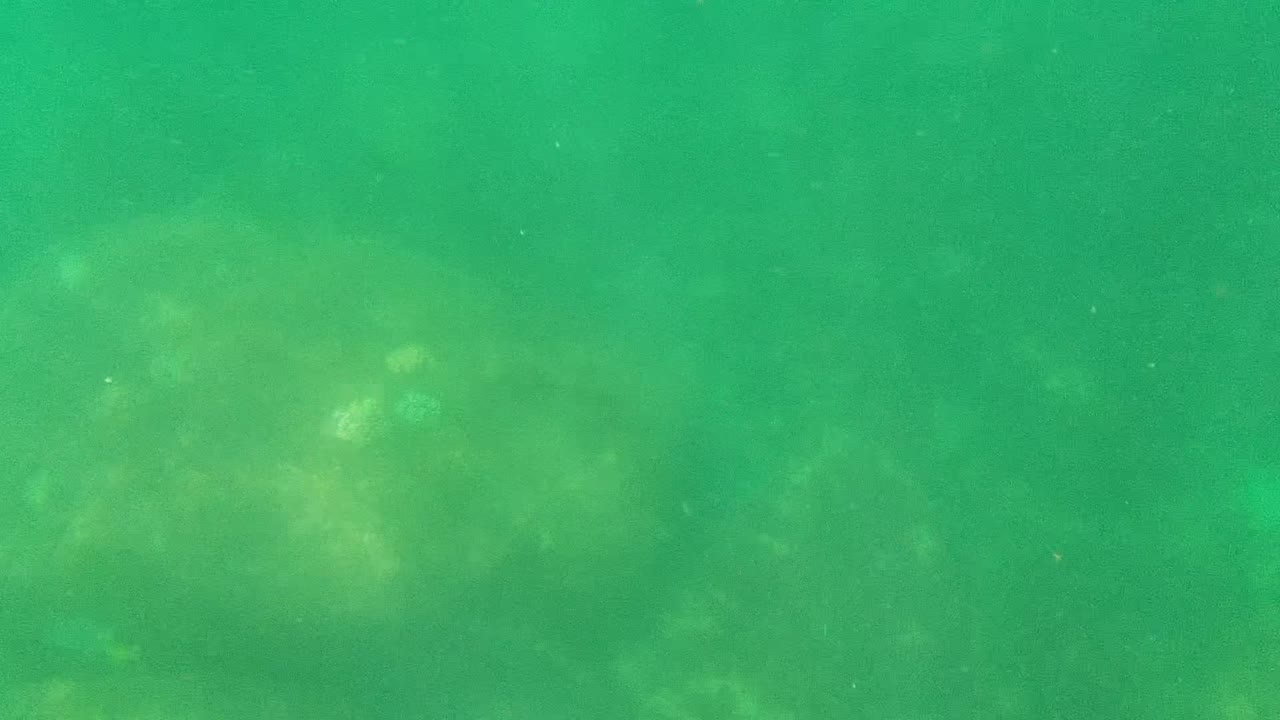 Rocky seabed seen through green water