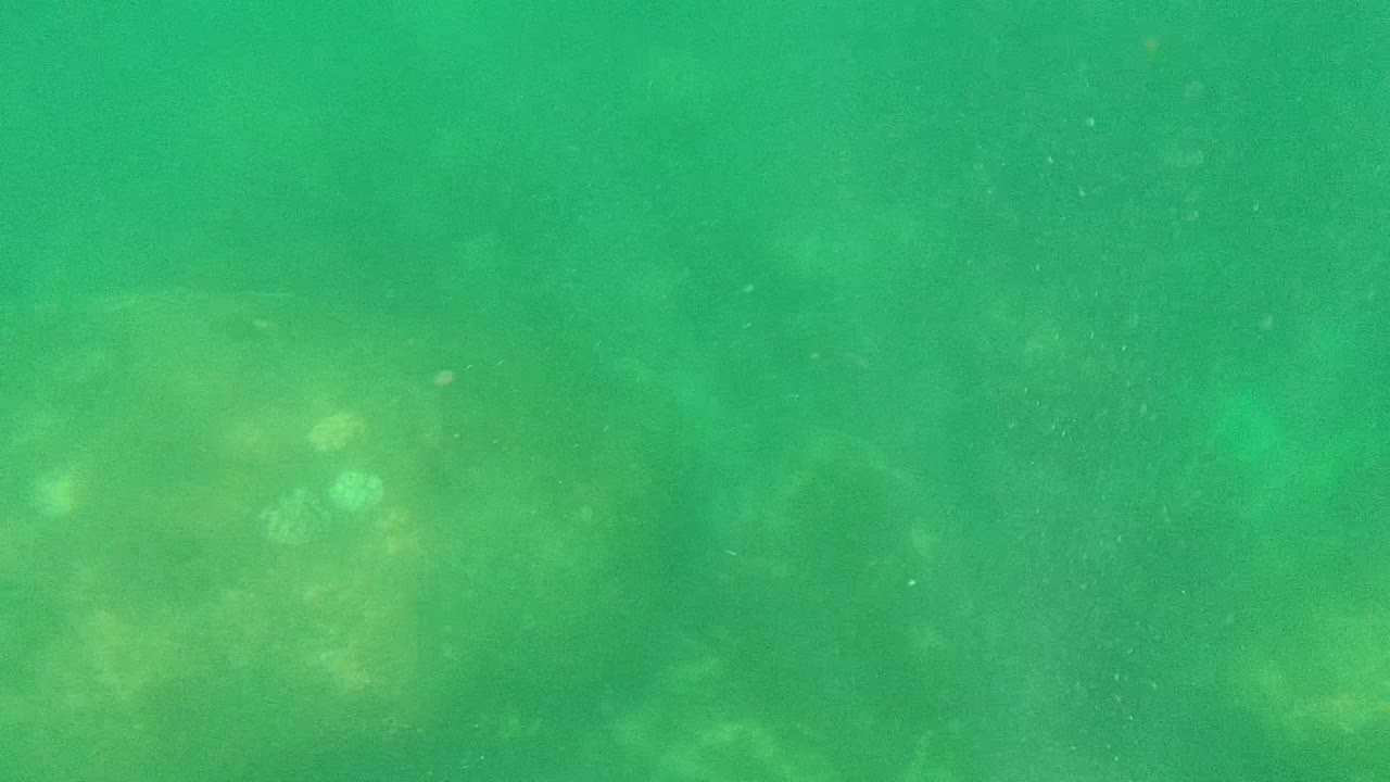 A faint rocky ocean floor in Cabo Pulmo sits under green water, with soft light and no visible people in the frame.