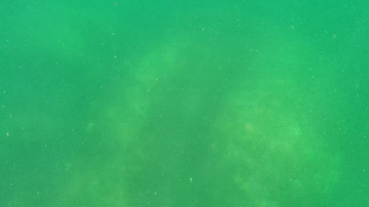 A faint stingray shape appears in murky green water above the sandy ocean floor in Cabo Pulmo, Baja California Sur, with no visible people.