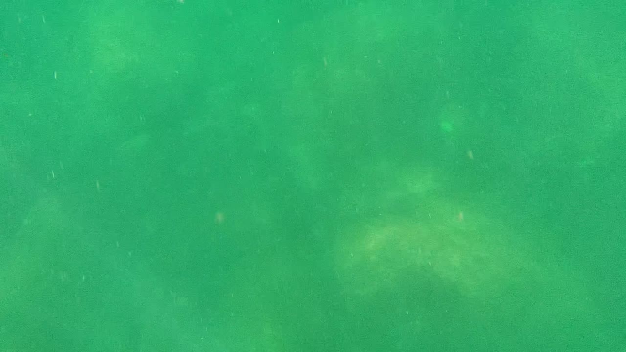 Murky green underwater view in Cabo Pulmo, Baja California Sur, with suspended particles and no visible people at the opening moment.