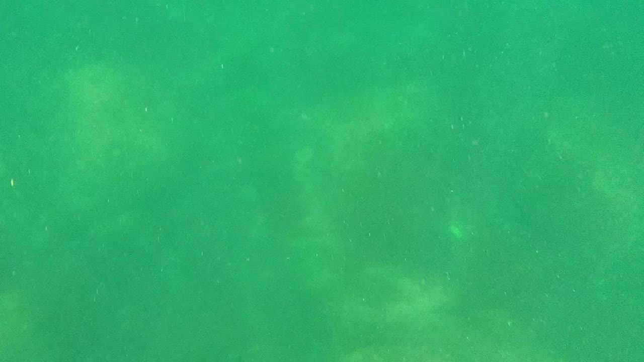 Green underwater haze with faint darker shapes.