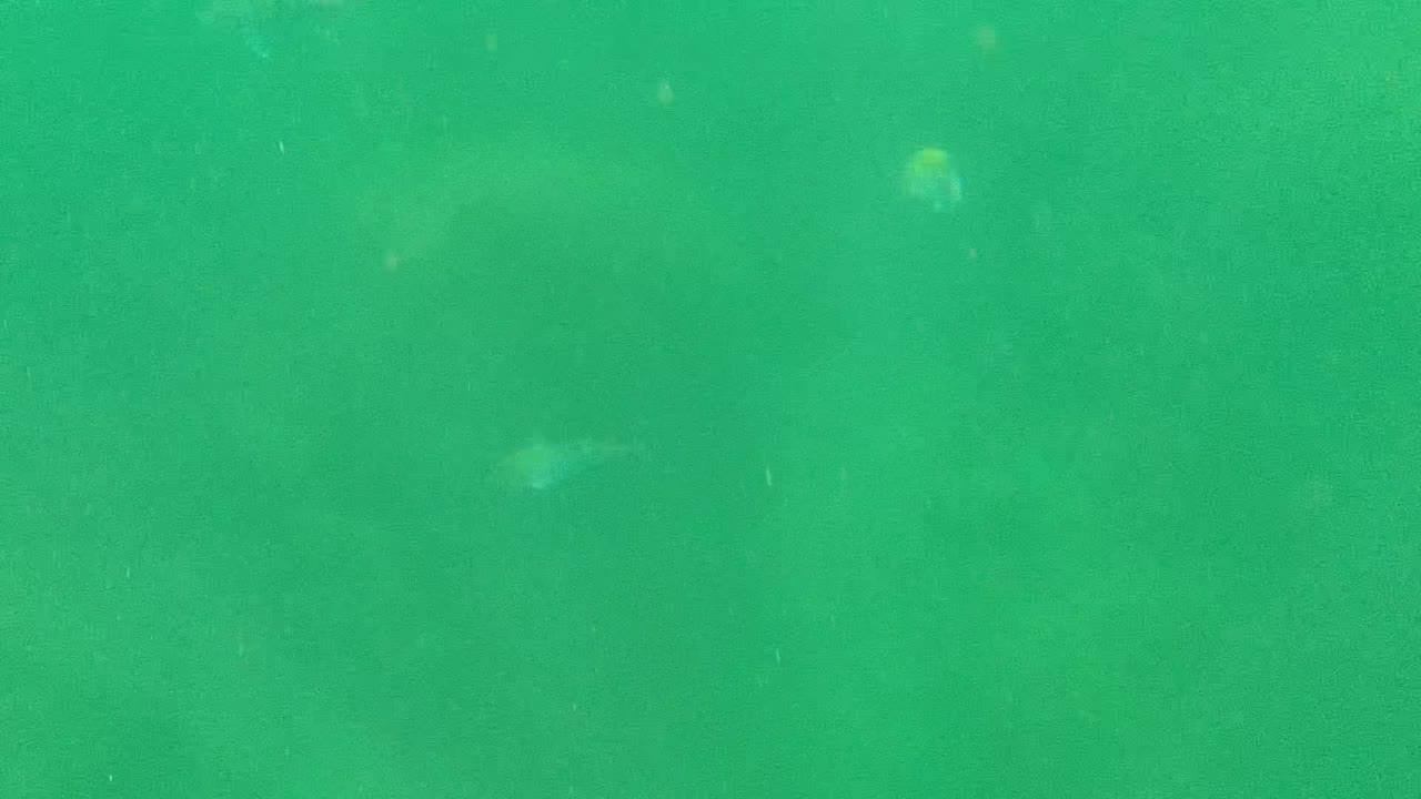 Opening underwater frame from Cabo Pulmo, Baja California Sur, showing green water, faint small fish, soft rocky seabed forms, and no visible people.