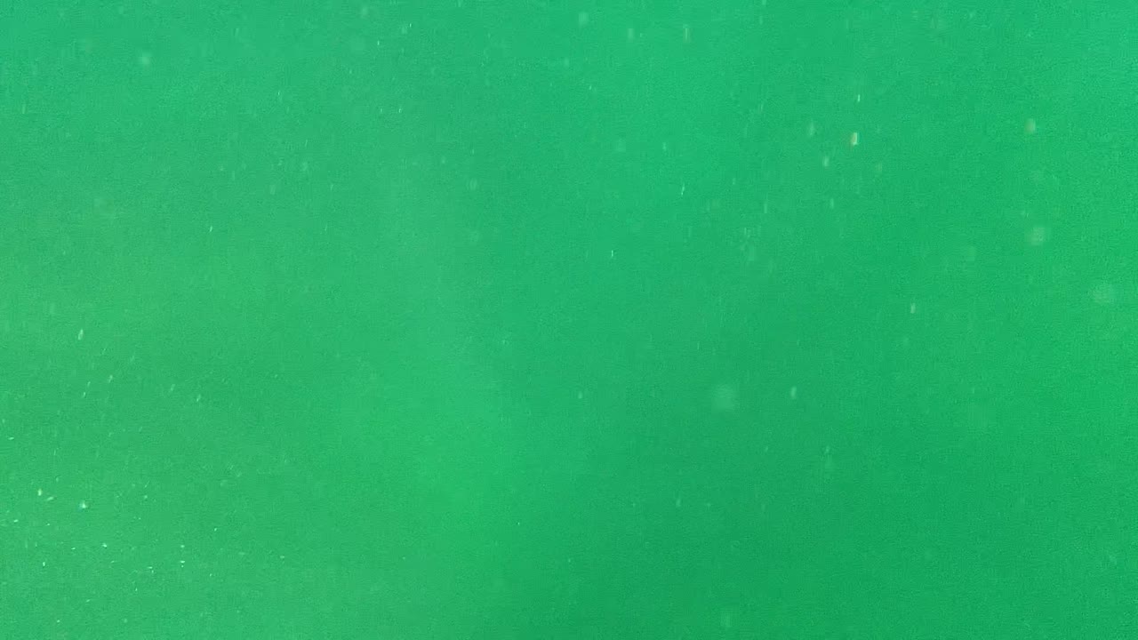 Murky green underwater water column in Cabo Pulmo with fine suspended particles and no visible people.