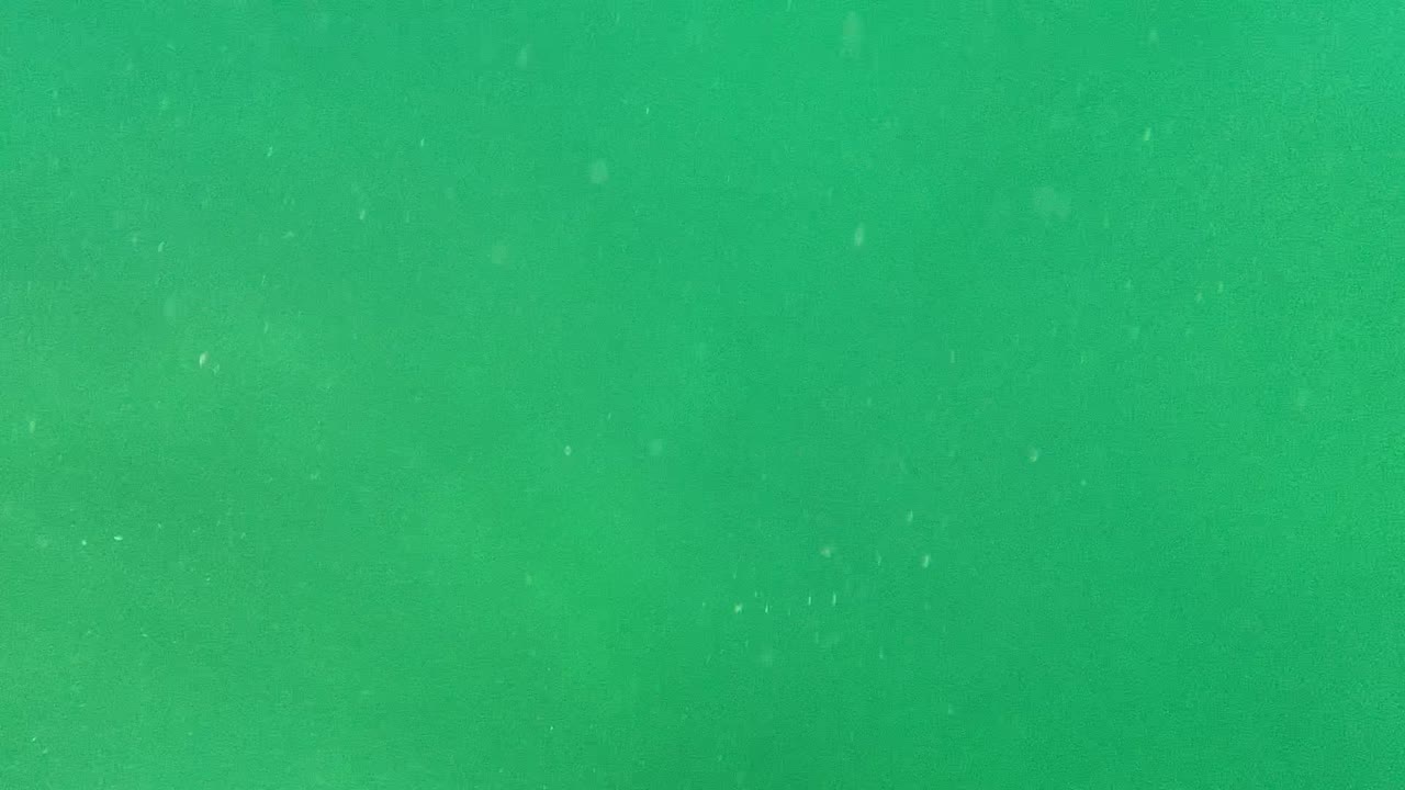 Green Cabo Pulmo underwater view with scattered floating particles across a mostly empty water column and no visible people.