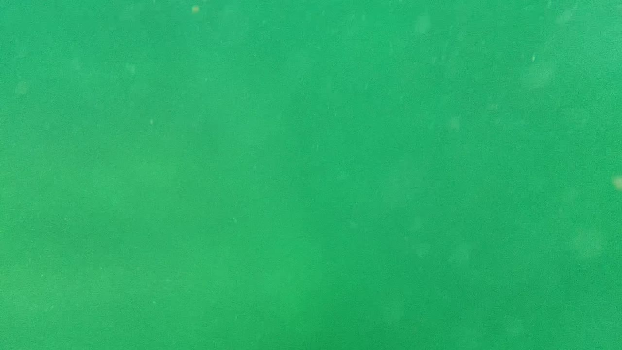 Murky green underwater frame in Cabo Pulmo with suspended specks and a faint small fish shape near the center, with no visible people.