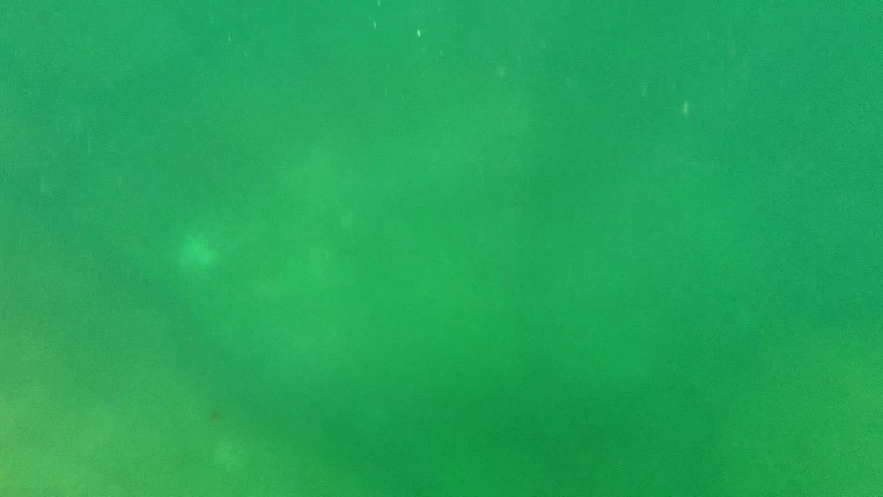 Green underwater view from Cabo Pulmo with suspended particles and diffuse light, with no visible people or distinct marine life in the frame.
