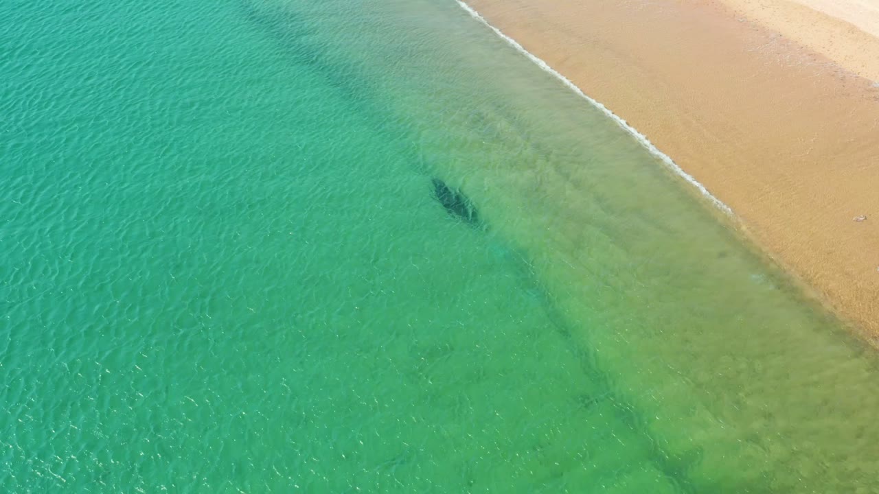 Aerial view of Los Frailes shoreline with turquoise shallows, pale sand at the upper right, a thin surf line, and a dark object visible under the water, with no visible people.