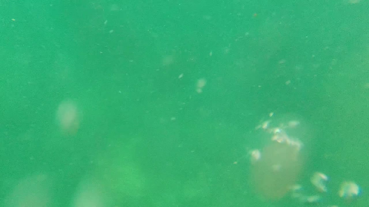 Green underwater frame with bubbles and debris suspended in the water.