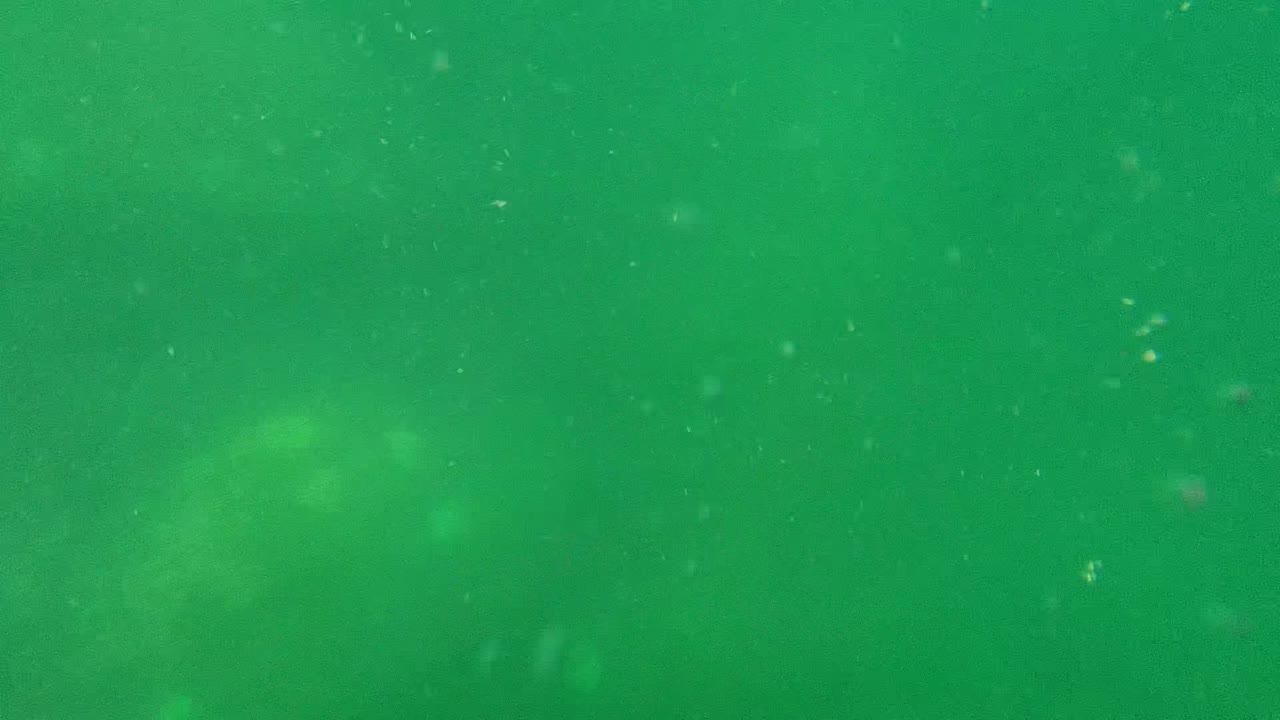 Green underwater view with suspended bubbles and particles.