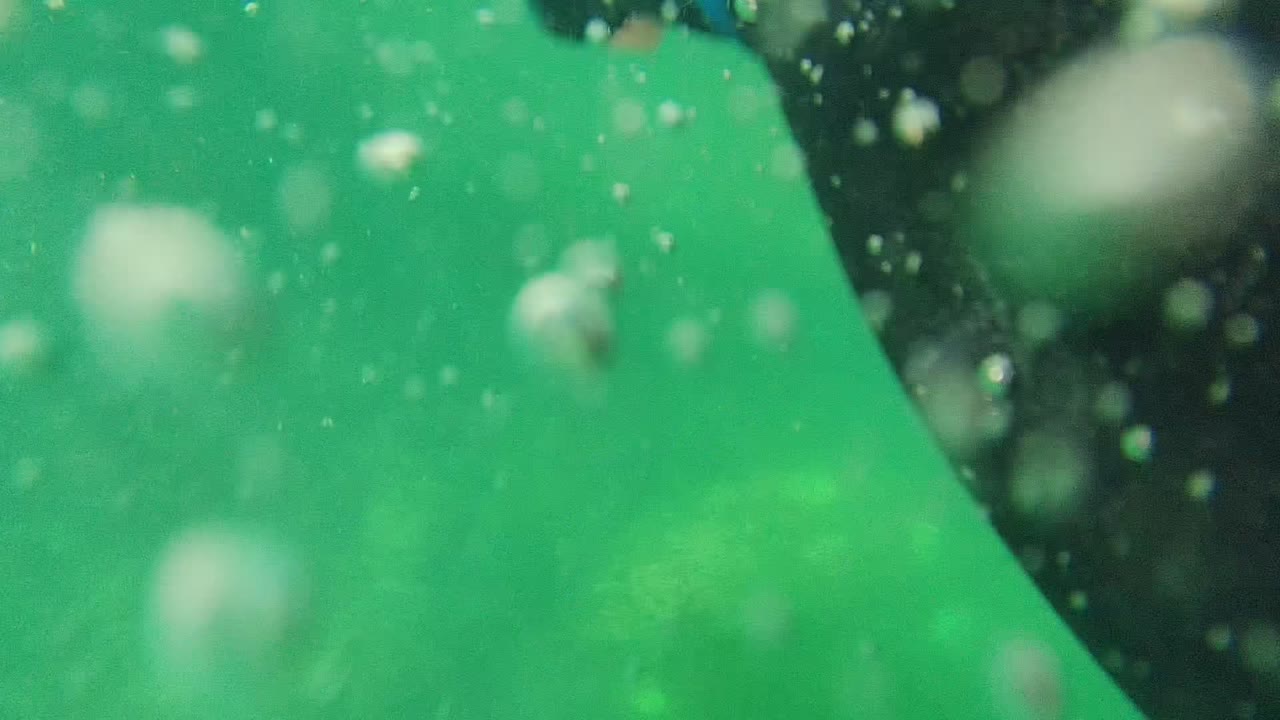 An underwater frame in Cabo Pulmo shows green water, scattered bubbles, suspended particles, and a dark curved edge near the upper right, with no visible people.