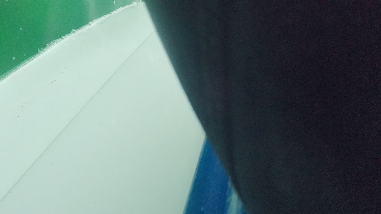 White boat surface and dark hull beside green water