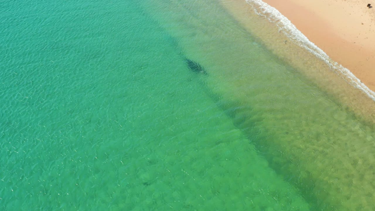 Clear shallow water and sandy shore after the bird has left frame.