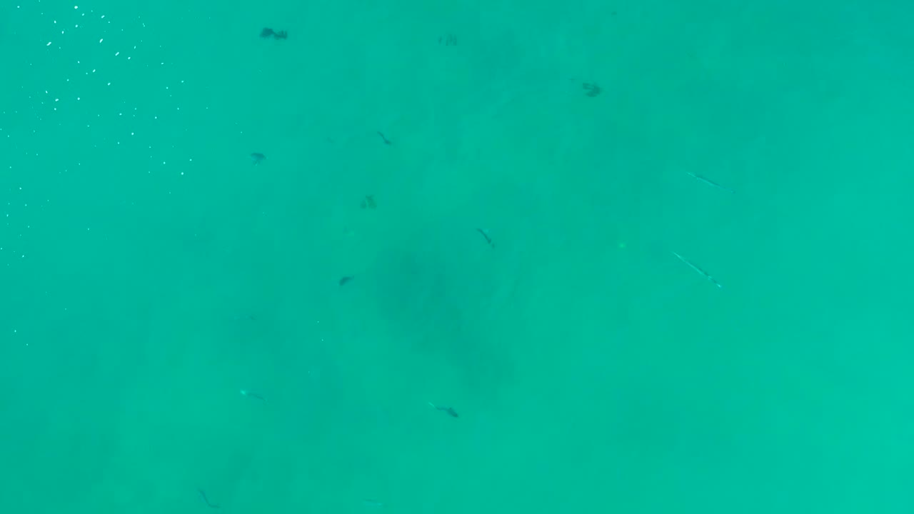 Clear water at La Fortuna appears evenly turquoise, with scattered small fish across the frame, fine bubbles near the top, and no visible people.