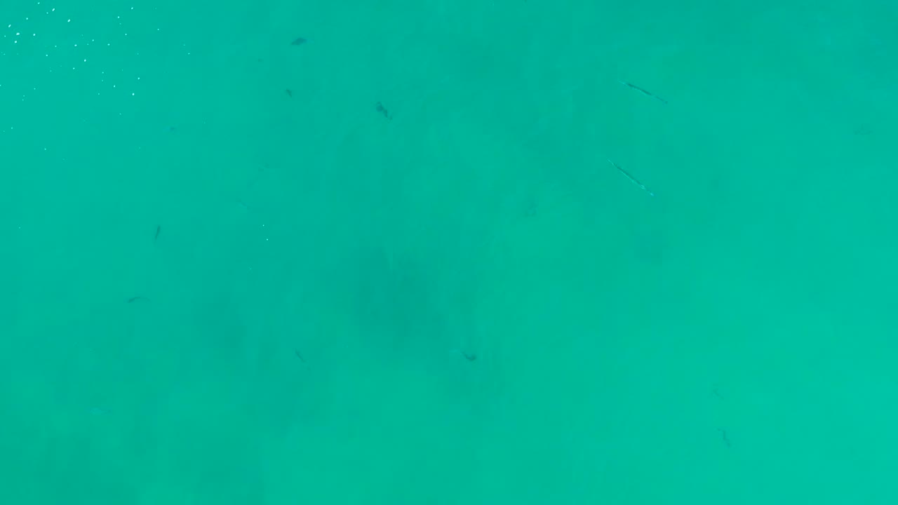 Clear turquoise water at La Fortuna, Baja California Sur, with scattered small fish and faint bottom texture visible below, no visible people.